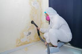 Best Commercial Mold Inspection  in Ntgomery City, MO